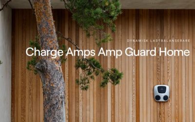 Amp guard